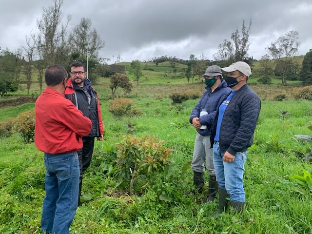 Visita cultivadores de aguacate en Une- Fito-3
