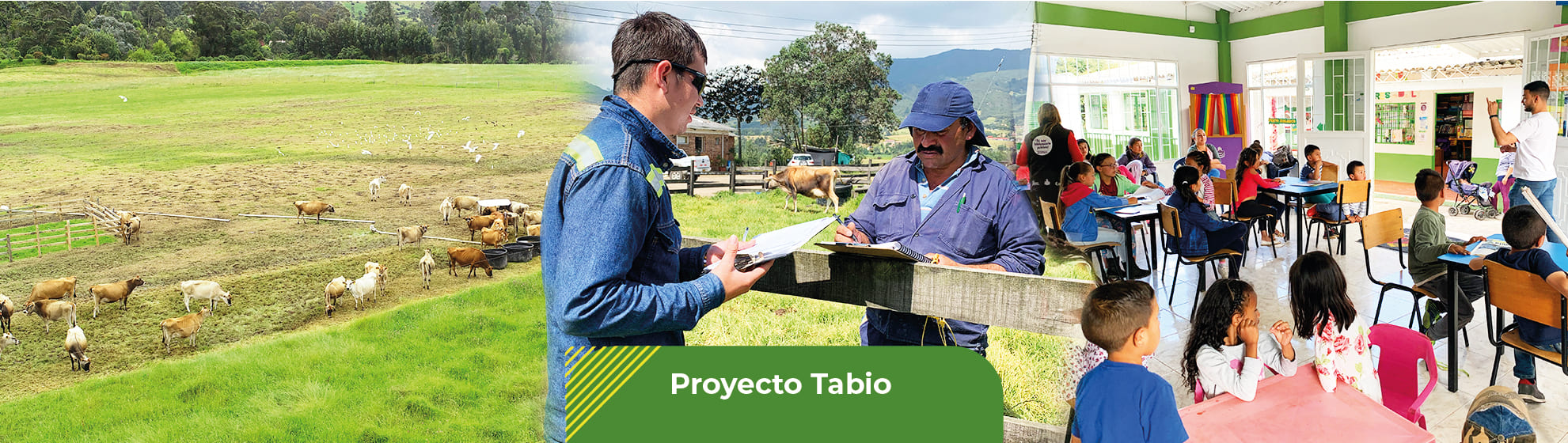 Proyecto tabio