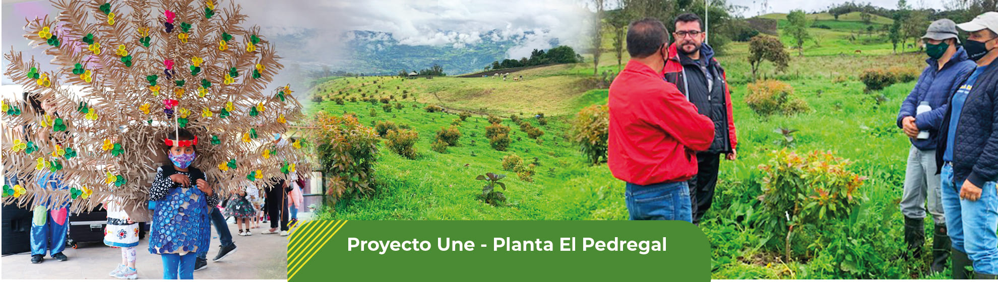 Proyecto une - Planta El Pedregal
